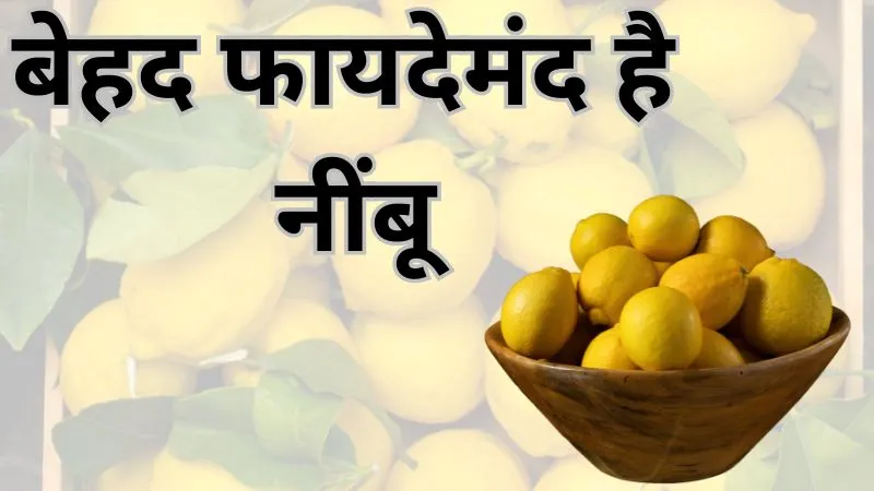 लिवर की करे सफ़ाई, पेट की परेशानियों से दिलाए राहत, बेहद फायदेमंद है नींबू