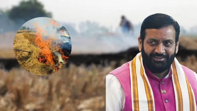 हरियाणा के किसानों के लिए खुशखबरी, अब नहीं जलानी पड़ेगी पराली, सरकार देगी फ्री में ‘डीकम्पोजर पाउडर’