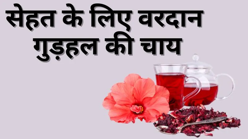 बैड कोलेस्ट्रॉल कम करने से वजन घटाने तक, सेहत के लिए वरदान गुड़हल की चाय, जानें बनाने की आसान विधि
