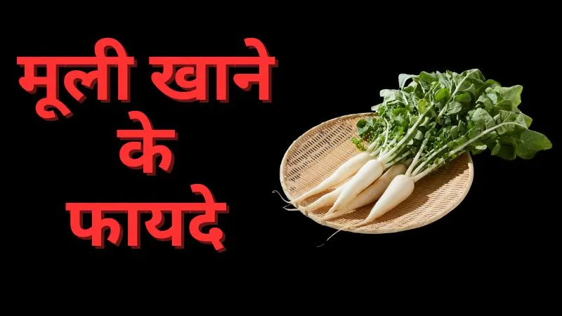 वजन घटाने से लेकर दिल को स्वस्थ रखने तक, बेहद फायदेमंद हैं मूली, बस इस समय खाने से करें परहेज