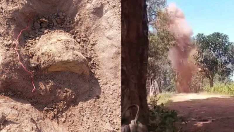 छत्तीसगढ़ के बस्तर में बड़ी सफलता, सुरक्षाबलों ने 10 किलो का IED निष्क्रिय किया