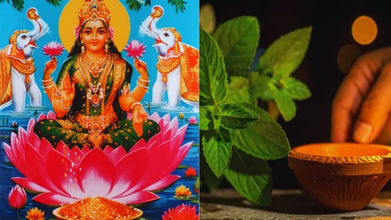 सुख-समृद्धि और वैवाहिक शांति के लिए विशेष है शुक्रवार का दिन, जानें पूजा विधि और भोग का महत्व