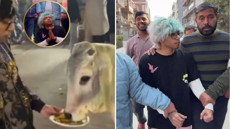 गुरुग्राम में यूट्यूबर ने गाय को खिलाया चिकन मोमो, लोगों ने ढूंढकर पीटा, आरोपी का दावा-'मुस्लिमों' ने दिए पैसे