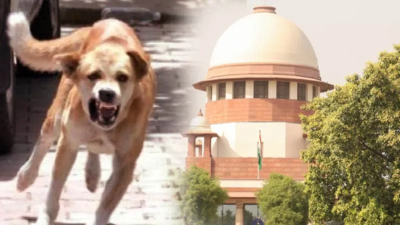 लावारिस कुत्तों पर सुप्रीम कोर्ट की अहम सुनवाई टली, अब 7 जनवरी 2026 को होगा फैसला