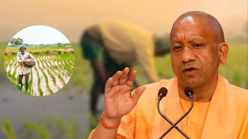 योगी सरकार की किसान नीति लाई रंग... प्रदेश सरकार ने खरीदा 19 लाख मीट्रिक टन धान, खातों में पहुंचे हजारों करोड़