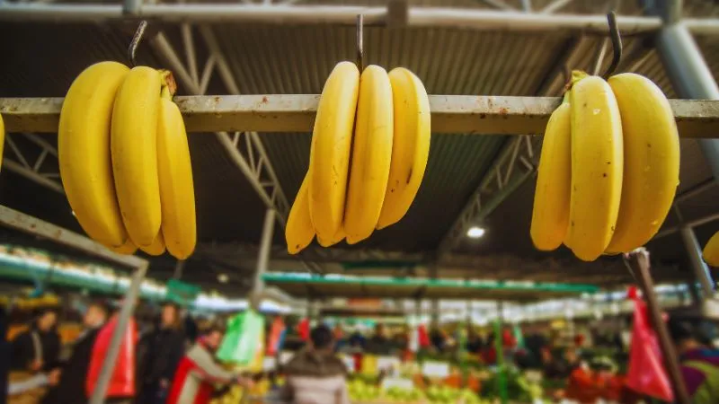 कमजोरी दूर करने से इम्युनिटी मजबूत रखने तक, बेहद फायदेमंद है केला, इस समय खाने से करें परहेज