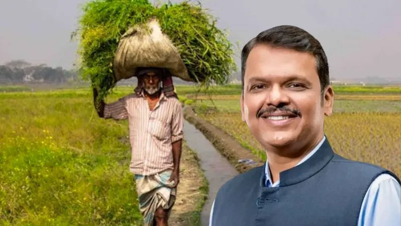 महाराष्ट्र में किसानों के लिए खुशखबरी, NAFED की पहल से मिलेगा बेहतरीन लाभ और समय पर भुगतान