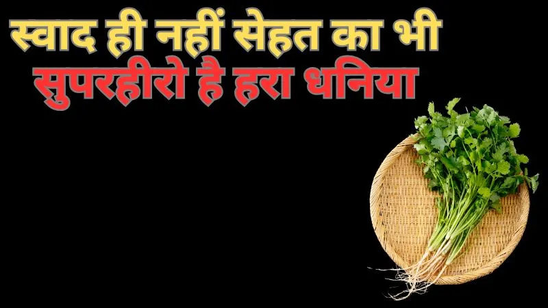 लिवर से बीपी तक, स्वाद ही नहीं सेहत का भी सुपरहीरो है हरा धनिया, जानिए फायदे