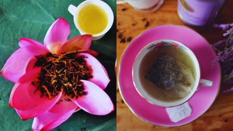 कमल से लैवेंडर तक, सेहत को दुरुस्त रखती फूलों से बनी चाय, पूरे दिन बनी रहती है ताजगी और एनर्जी