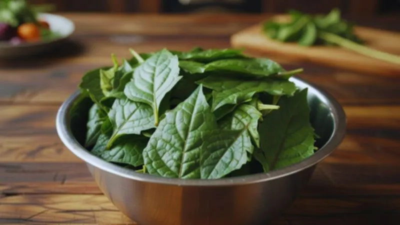 खून की कमी से लेकर जोड़ों के दर्द तक, मकोय का साग सर्दियों में कई बीमारियों से दिलाए राहत