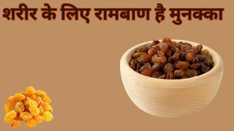 हृदय रहे स्वस्थ, पाचन रहे दुरुस्त, शरीर के लिए रामबाण है मुनक्का, जानें सेवन के फायदे