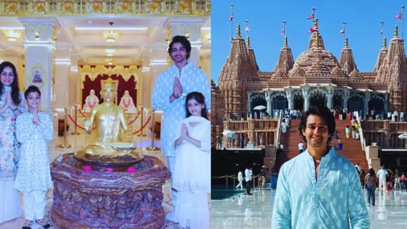 अबू धाबी के स्वामीनारायण मंदिर में दर्शन करने पहुंचे 'महाभारत के कृष्ण', मंदिर को बताया एकता और शांति का प्रतीक