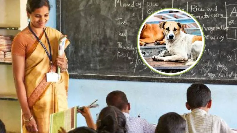UP में पढ़ाई छोड़ अब कुत्तों की गिनती करेंगे शिक्षक? जानिए दावे की सच्चाई