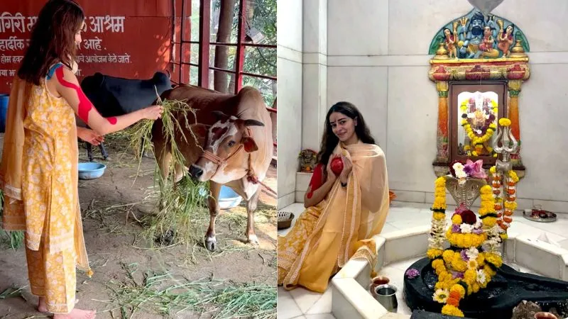 महादेव की भक्ति में लीन हुईं अनन्या पांडे, गौ सेवा करती आईं नज़र, Video हुआ VIRAL