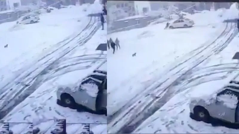 बर्फ में फिसलती कार को ड्राइवर ने की रोकने की कोशिश, फिर जो हुआ… मनाली का खौफनाक Video देख सहमे लोग