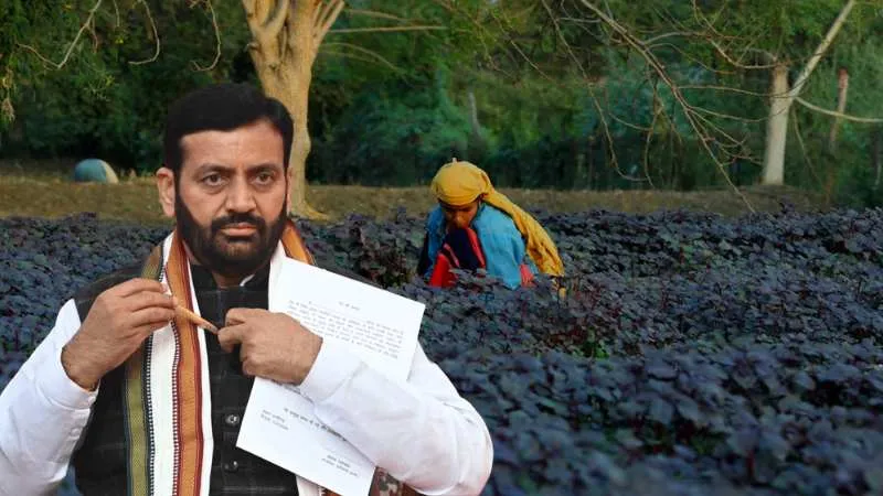 हरियाणा के किसान उगाएंगे हर्बल फसल, सरकार खुद करेगी पूरी दुनिया में मार्केटिंग