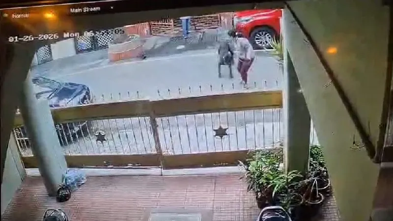 बेंगलुरु में महिला पर पालतू कुत्ते का जानलेवा हमला, लगे 50 से ज्यादा टांके, पति ने मांगा न्याय, डॉग मालिक को देना होगा मुआवजा या होगी जेल