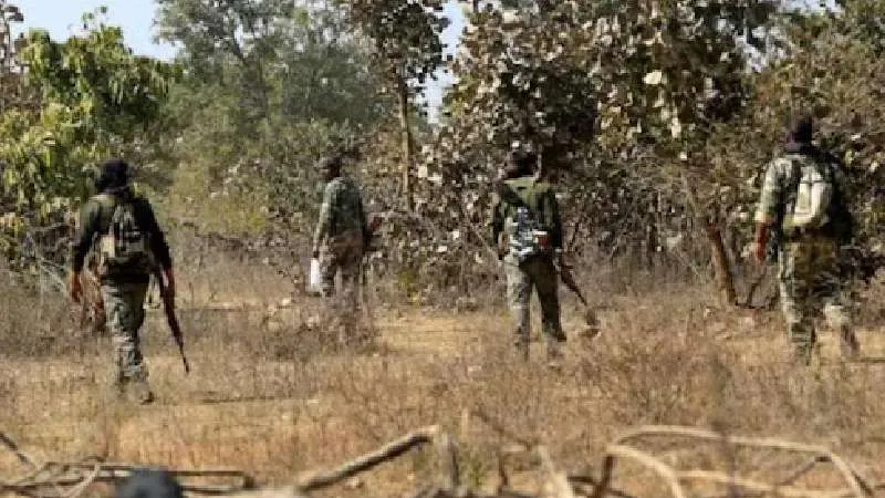 सुकमा में सुरक्षाबलों की बड़ी कामयाबी, नक्सलियों के छुपाए 65 बीजीएल सेल विस्फोटक बरामद