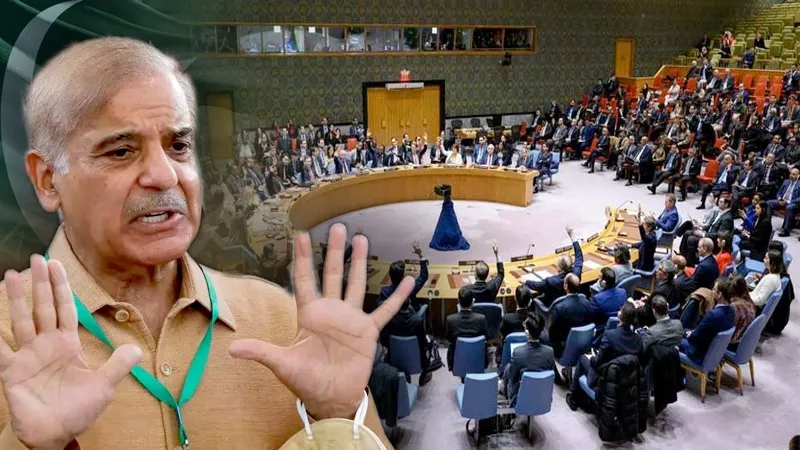 UNSC में पाकिस्तान को दो मोर्चों पर मिली मात... भारत की बड़ी कूटनीतिक जीत, जानें क्या है पूरा मामला