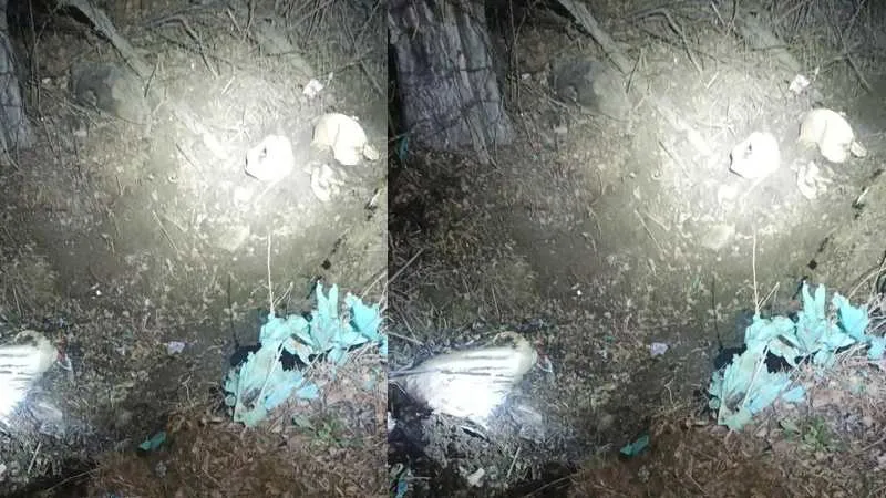 जम्मू और कश्मीर में बड़ी आतंकी साजिश नाकाम, श्रीनगर-बारामूला हाईवे पर मिला आईईडी, बम स्क्वॉड ने किया डिफ्यूज