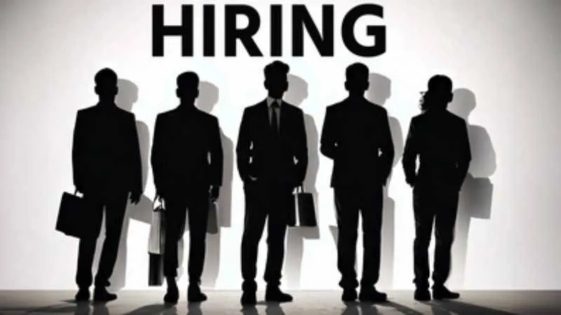 नॉन-आईटी सेक्टर की बदौलत बढ़ा रोजगार, व्हाइट-कॉलर हायरिंग में 3% उछाल