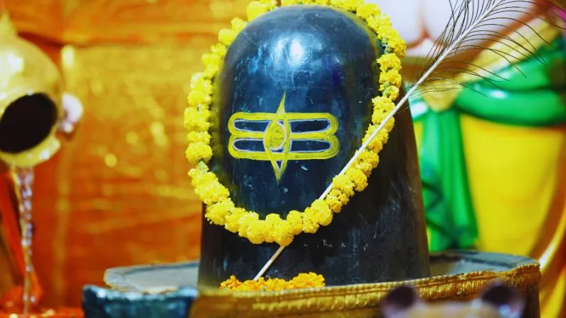 15 या 16 फरवरी? किस दिन मनाई जाएगी महाशिवरात्रि, जानें शुभ मुहूर्त, क्या करने से महादेव पूरी करेंगे सारी मनोकामनाएं