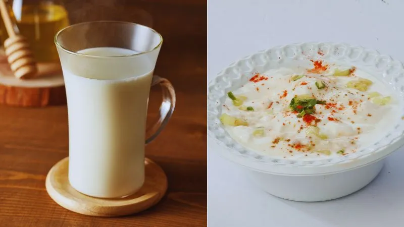 क्या है डायबिटीज में दूध और दही खाने का सही तरीका? अगर इस तरह से करेंगे इस्तेमाल तो नहीं बढ़ेगा ब्लड शुगर