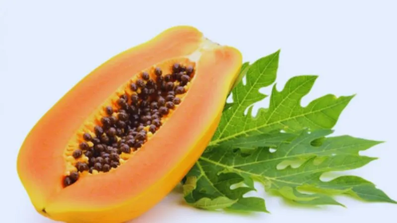 वजन घटाने में पपीता बेहद फायदेमंद, अगर इस टाइम करेंगे सेवन, तेजी से घटेगी चर्बी