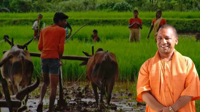 योगी सरकार का बड़ा ऐलान, UP में बदलेगा पशुपालन सिस्टम, किसानों को फ्री मिलेगा चारे का बीज