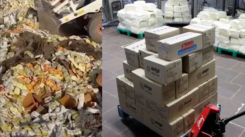 Youtube से सीखा तरीका, एक्सपायर्ड सामान की तारीख बदलकर बेचने का खेल, ‘अमूल’ के प्रोडक्ट में बड़ा फर्जीवाड़ा खुला