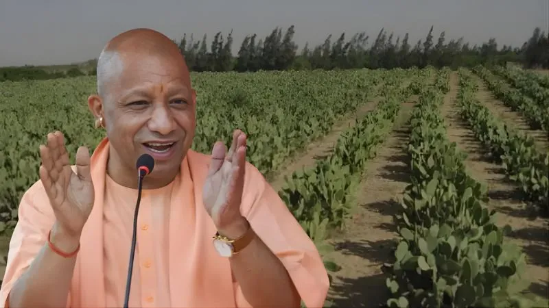 अन्नदाता से ‘यूपी का विधाता’ तक... CM योगी के फैसलों ने ऐसे बदली किसानों की किस्मत, खाते में आए 99 हजार करोड़ रुपये