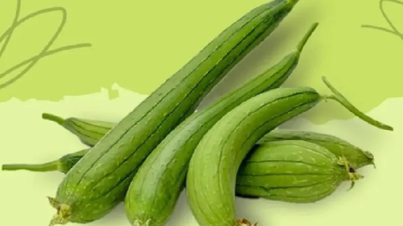 गर्मी में सेहत का सुपरफूड: तुरई के फायदे जानकर आप भी करेंगे इसे डाइट में शामिल