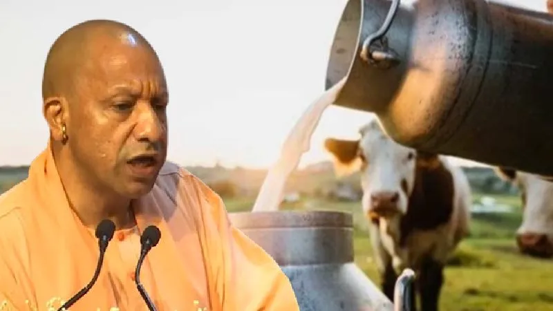 बुंदेलखंड में डेयरी प्रसंस्करण क्षमता बढ़ाने के लिए नई परियोजनाओं को मुख्यमंत्री योगी की मंजूरी