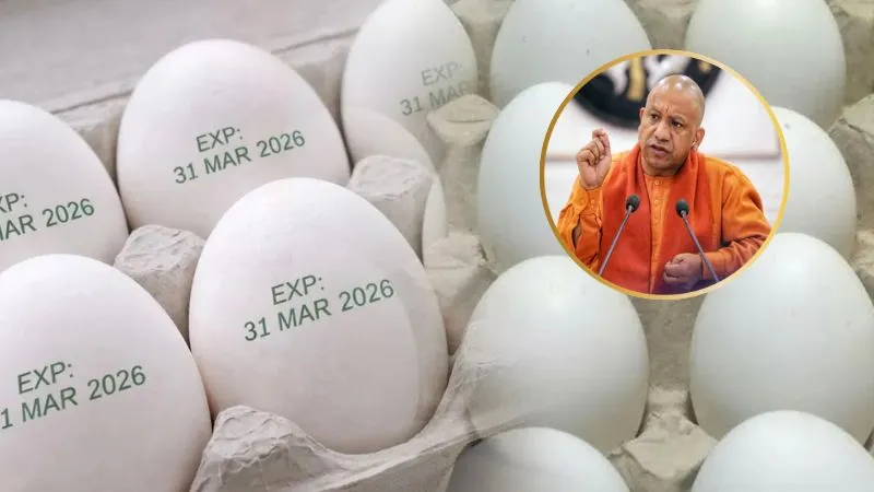 योगी सरकार का बड़ा फैसला, अंडों पर लिखना होगा “एक्सपायरी डेट”, पुराना बेचने वाले दुकानदारों पर लगेगा जुर्माना