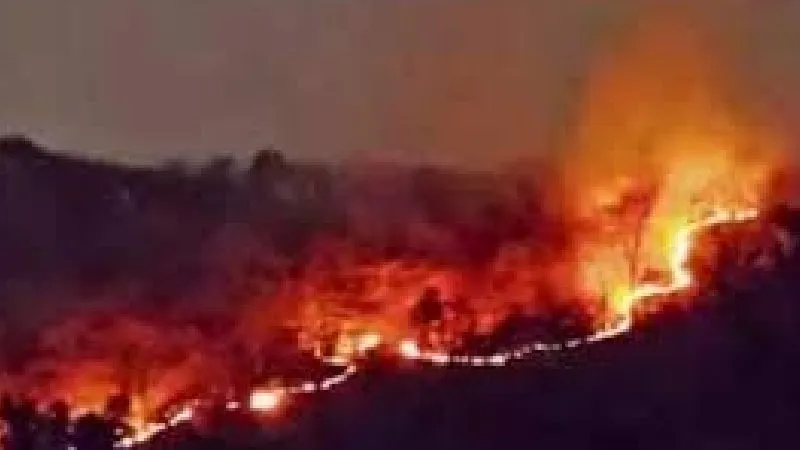 महुआ चुनने की आग से धधक रहे झारखंड के जंगल, हाथियों के भटकने का खतरा बढ़ा