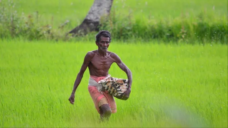 PM Kisan Samman Nidhi: 22वीं किस्त पर बड़ा अपडेट, इस तारीख तक मिल सकते हैं 2000 रुपये