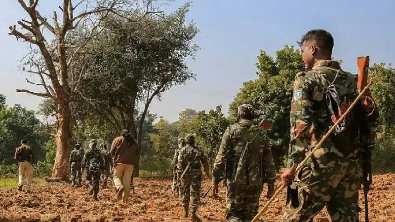 2025 में नक्सलवाद पर बड़ा प्रहार, 256 ढेर, 1500+ सरेंडर से हिला माओवादी नेटवर्क