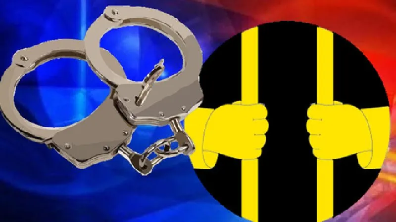 नोएडा पुलिस की बड़ी कार्रवाई, ऑनलाइन सट्टेबाजी कराने वाला गिरोह गिरफ्तार