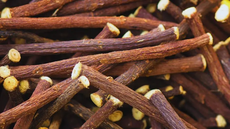 गुणों की खान है लकड़ी की तरह दिखने वाली ये चीज़, जानें इसके फायदे और इस्तेमाल करने का सही तरीका