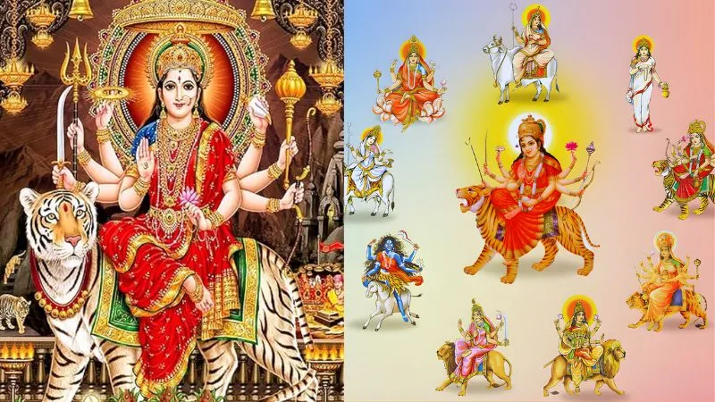 Chaitra Navratri 2026: मां दुर्गा को सबसे ज्यादा प्रिय ये लाल फल, नवरात्रि में इसे चढ़ाने से मिलता माता का विशेष आशीर्वाद