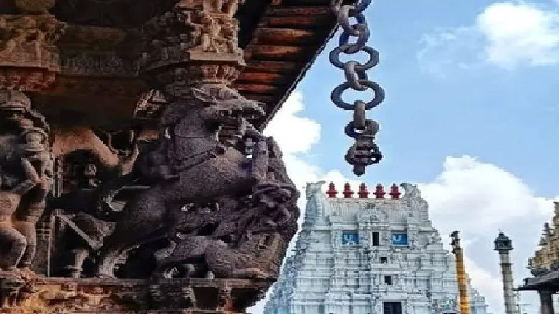 कांचीपुरम का रहस्यमयी वरदराज पेरुमल मंदिर, जहां 40 साल में होते हैं ‘अथि वरदार’ के दुर्लभ दर्शन