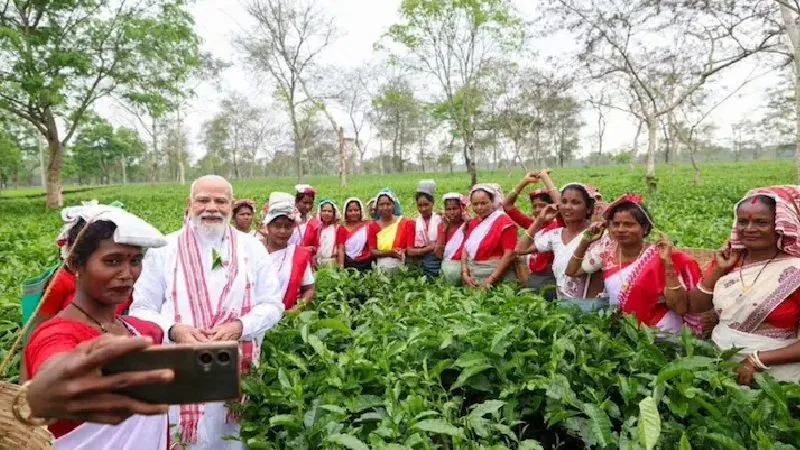 डिब्रूगढ़ के चाय बागान में पीएम मोदी ने महिलाओं से की बातचीत, बोले-मैं भी चाय वाला हूं', आपकी मेहनत मेरे गांव तक पहुंची