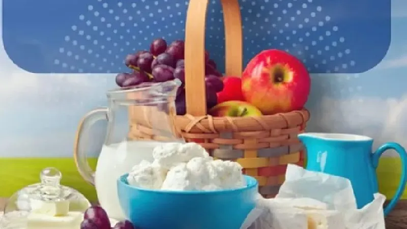 सुबह का नाश्ता क्यों है सबसे जरूरी? जानिए प्रोटीन युक्त ब्रेकफास्ट के फायदे और बेहतरीन विकल्प