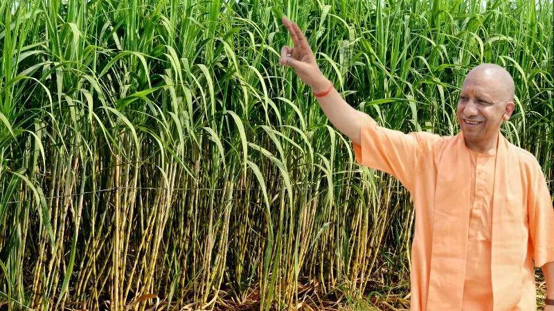 UP में गन्ना किसानों के लिए योगी सरकार की नई नीति, GPS सर्वे और रजिस्ट्रेशन शुरू
