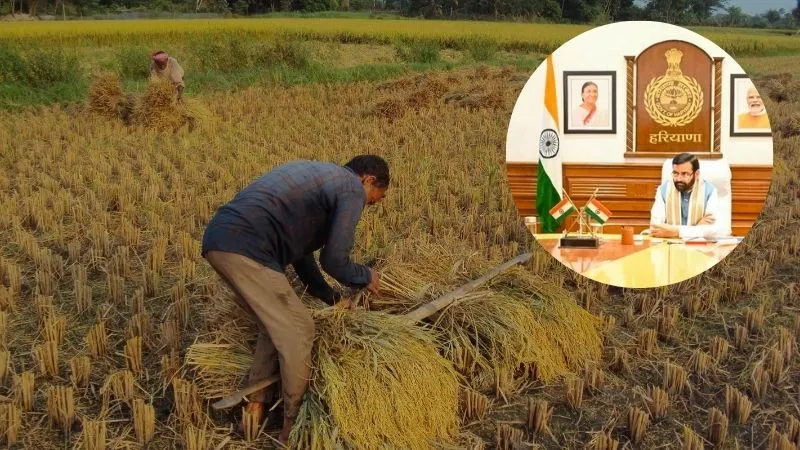 बेमौसम बारिश के बाद किसानों के लिए खुशखबरी, हरियाणा में बदले गेहूं खरीद के नियम
