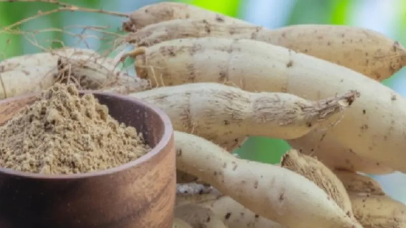 शतावरी के फायदे ही नहीं, नुकसान भी जानें, महिलाओं के लिए जरूरी जानकारी