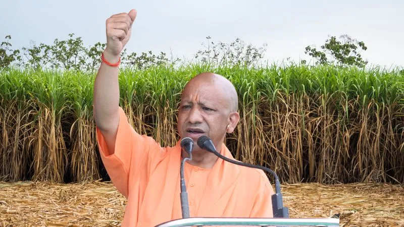 योगी सरकार ने रचा इतिहास...गन्ना किसानों को किया 3.21 लाख करोड़ से अधिक का भुगतान, गन्ना उत्पादन में भी यूपी शीर्ष पर