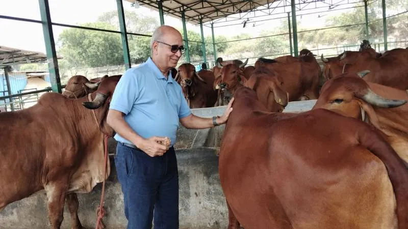 सेना में बढ़ी यूपी की देसी गायों के हाई प्रोटीन गो उत्पादों की डिमांड, बेंगलुरु और मुंबई तक ऑनलाइन सप्लाई