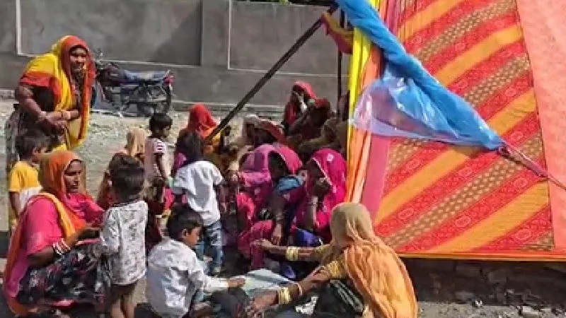 राजस्थान के झालावाड़ में आवारा कुत्तों का आतंक, 2 साल की मासूम बच्ची को नोचकर मार डाला