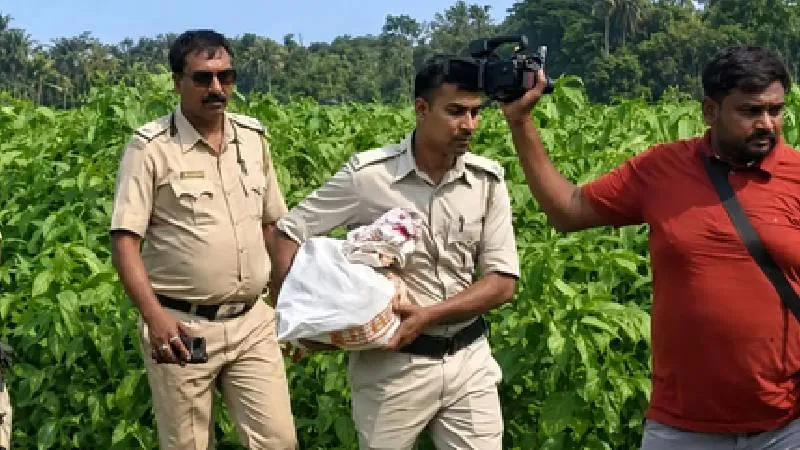 पश्चिम बंगाल :TMC चेयरमैन के खेत से निकला नोटों का खजाना, मिट्टी के नीचे से निकले 2.24 करोड़ रुपये